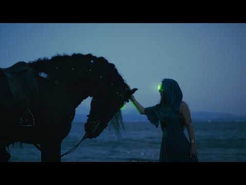 Fortis Ventus - Chaos