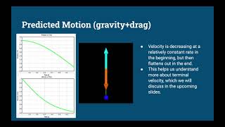 PHYS 2211 Lab 2: Motion of a Falling Object
