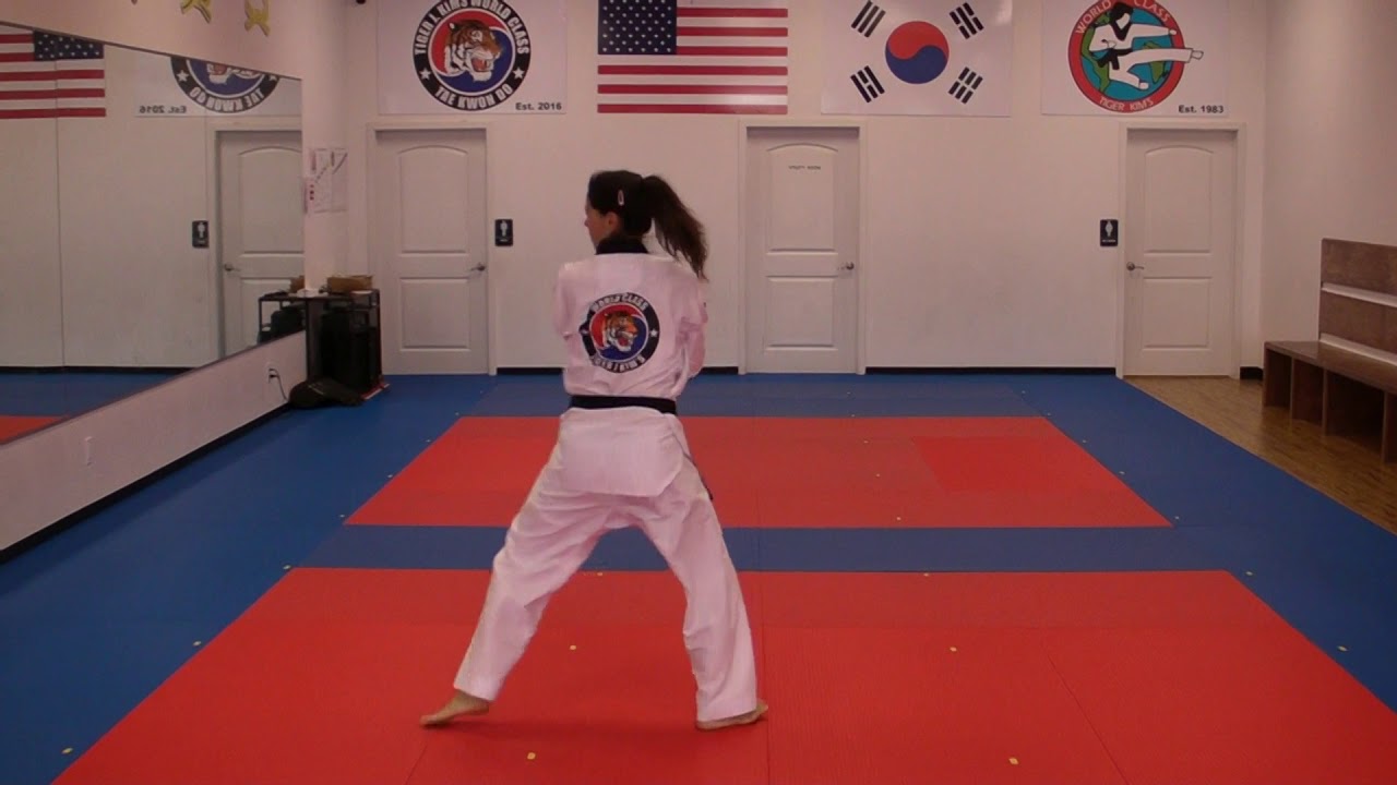 Best Of taekwondo america white belt form Tiger j. kim's world class ...