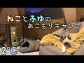 わがまま猫と冬のおこもりキャンプ！【平瀬温泉キャンプサイト】