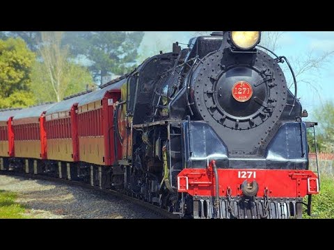 Train Horn Sound Effect No Copyright|free Sound Effects - YouTube