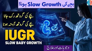 Slow Baby Growth in Pregnancy | IUGR Treatment | Hamal main bache ki growth na hona | Urdu/Hindi 🌎