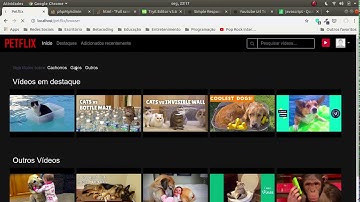 Petflix - 18  Fazendo funcionar a pesquisa do site | Laravel