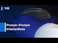 Probing High-Density Functional Protein Microarrays: Protein-Protein Interactions l Protocol Preview