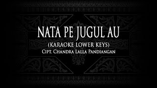 Nata Pe Jugul Au (Karaoke Lower Keys) Cipt. Chandra Lalla Pandiangan #KaraokeLaguBatak