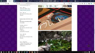 Murai Batu - Kasta Tertinggi Burung Kicau