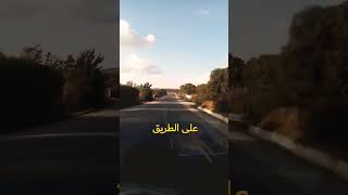 على الطريق #ريف الوطن القبلي #tunisia #capbon #vanlife