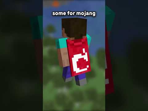 What Is The Rarest Cape in Minecraft?