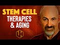 REGENERATIVE MEDICINE &amp; STEM CELL THERAPIES: Their Impact On Aging [2022]