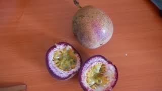 Маракуйя, плод страсти или passion fruit Маракуйя, плод страсти или passion fruit