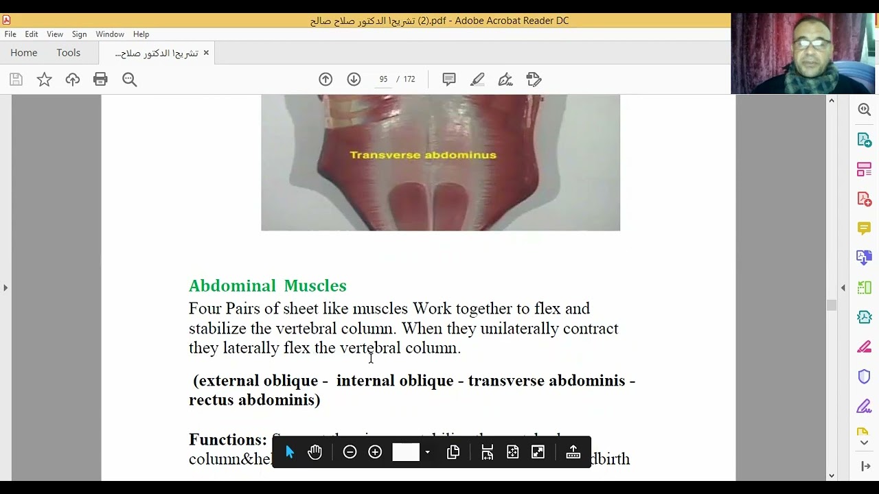 صلاح صالح السلام عليكم مرفق muscles of lower limbs anatomy