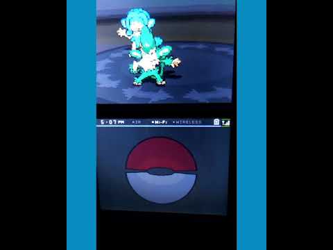 ポケモン、ブラックバトル⭐️