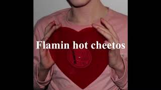 Clairo-Flamin Hot Cheetos [lyrics/가사/해석]