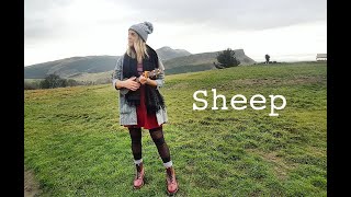 Sheep - Ariel McCleary (original) chords