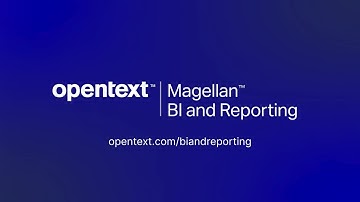 What is Magellan BI & Reporting