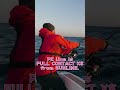 Exciting‼Topwater fishing of KINGFISH in Yamaguti,Japan. #topwaterfishing #kingfish #sunline
