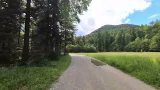 Relaxing Walk in Nature 🌿 Forest & Meadow Path in 4K | Calming Sounds of Nature