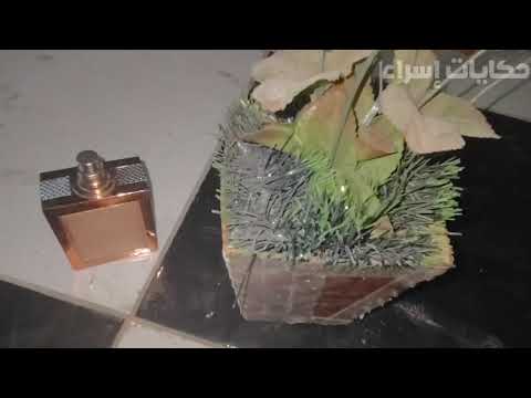 قصتـي مع الحمـــار سالــم عريــض اوي غرزهولــي من ورا