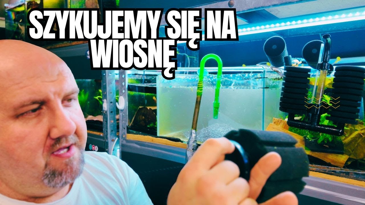 ❄️🦐 Zimowe Porządki na Mojej Hodowli Krewetek | Przygotowania na Wiosnę 🦐❄️