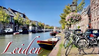  Leiden In Hd  City Walk 
