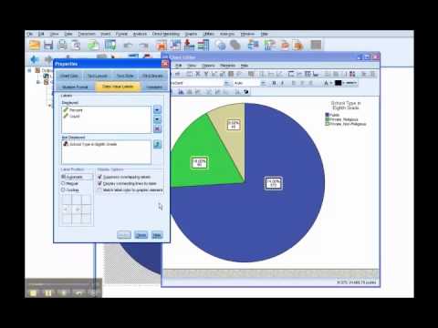 Spss Pie Chart Show Percentage