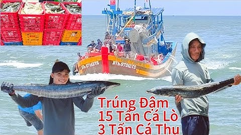 Ghe Lưới Rút  Và Ghe Lưới Xù Trúng Cá Khủng Cá Tràn Đầy Ghe