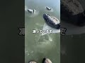 氷河恐怖症って知ってる？