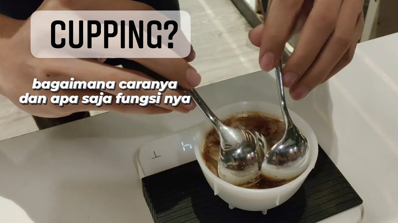 cupping coffee คือ  2022 Update  CARA CUPPING STANDAR SCA (SPECIALTY COFFEE ASSOCIATION)