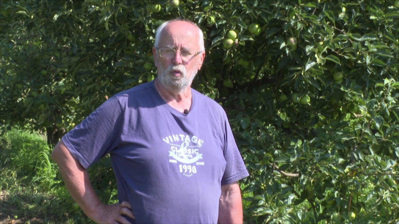 Vegesol R vértetű és levéltetű gyérítésére bio almában, Kukucska György