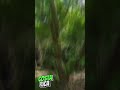 Costa Rica 2023!