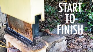 Stingless Bee Hive Eduction (Seed Brood) by Practical Primate 5,716 views 1 year ago 11 minutes, 28 seconds