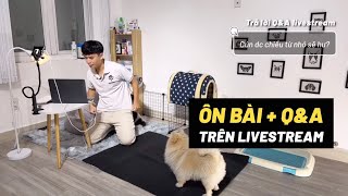 Livestream 29/1/2024 - Ôn bài cho cún và trả lời câu hỏi | BossDog Vietnam