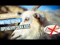 Уникальный метод чески коз