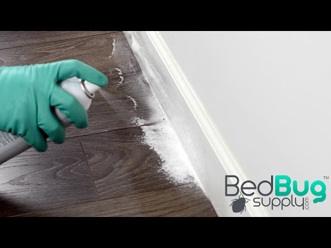 Video: Combat For Bedbugs: An Overview Of Sprays. Instructions For The Use Of Remedies Against Bedbugs. Customer Reviews