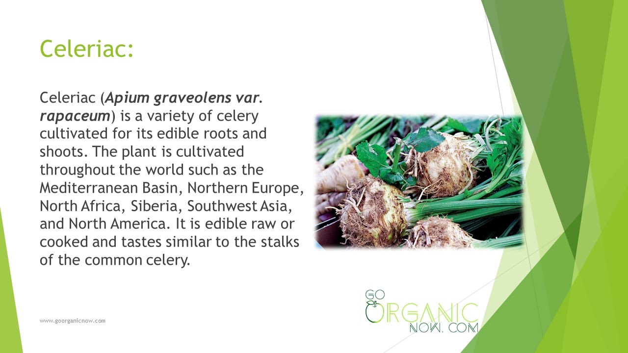 Health Benefits of Celeriac YouTube
