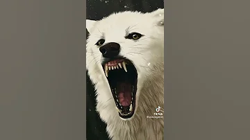 اغنيه اندال اندال 