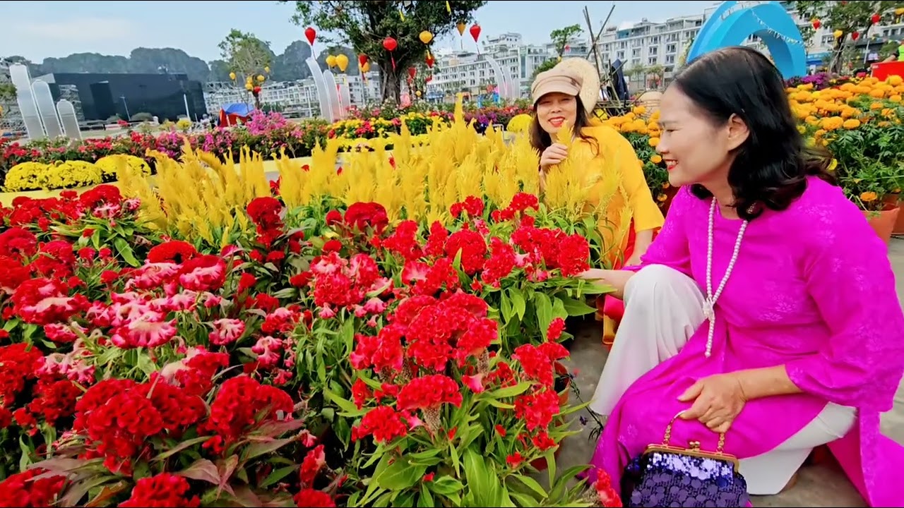 Em ơi ! mùa xuân đến rồi đó.