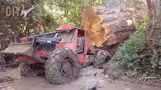 Incredible Extreme Dangerous Wood Tractor Operator Working/ Fastest Tree Skidder Control Skill