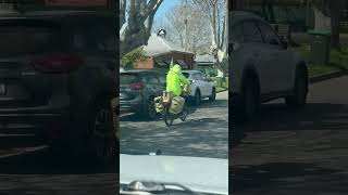Swooping Magpie's Attacks Can't Deter Determined Postman