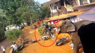 Elephant attack in Valanchery Kerala | Latest News