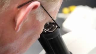 NKBKA Microscope Lab Day Maynooth 2019