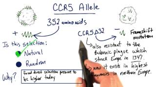 Evolution - Tales from the Genome