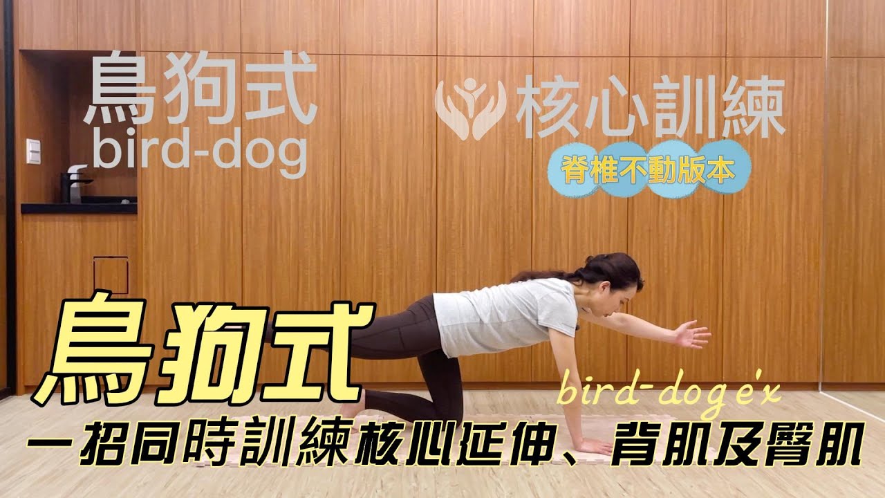 鳥狗式（Bird-Dog ）為基礎的核心運動，其中包含背肌跟臀肌與核心的應用，不需要墊子以外的設備，就可以喚醒核心，延伸脊椎改善下背痛。