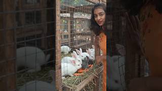 Rabbit Farm🥰#shortsfeed #rabbit #rabbitrescue #carrot #ai #aishorts #animals #petanimals #ytshorts