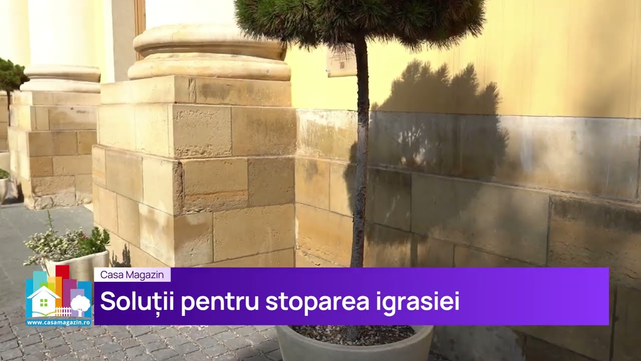 Igrasia si umezeala din pereti rezolvate cu ajutorul undelor electromagnetice