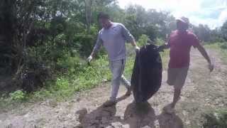 Limpieza del Cenote Chihuo-Hol / Cleaning of Cenote Chihuo-Hol