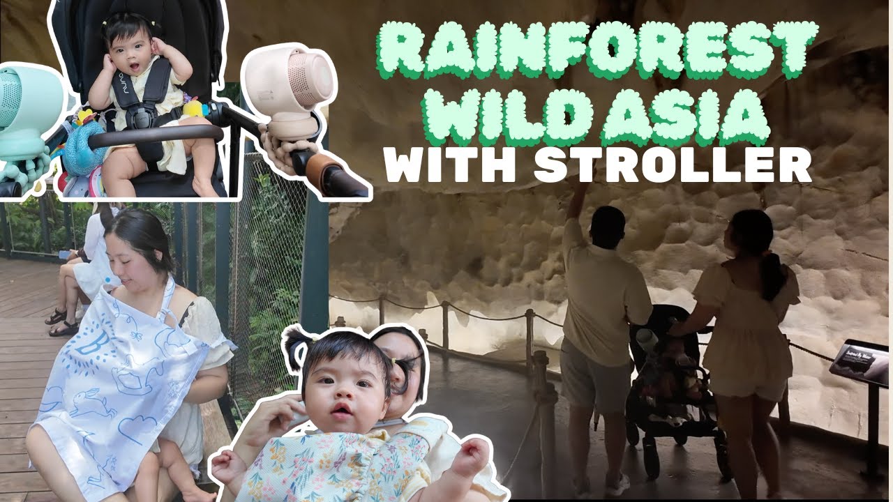Тропический лес Азии в зоопарке Мандай с коляской! Жарко 🥵 и так мало животных?!