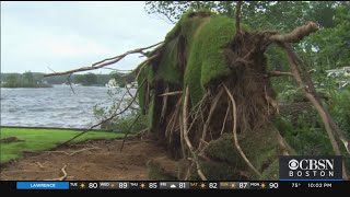 Tropical Storm Isaias Uproots Trees, Knocks Out Power To Thousands In Mass.