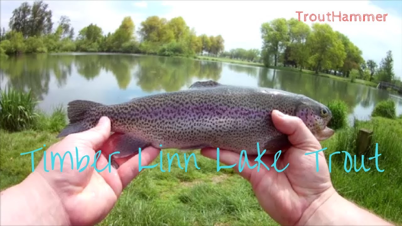 Fishing Timber Linn Lake for Trout 