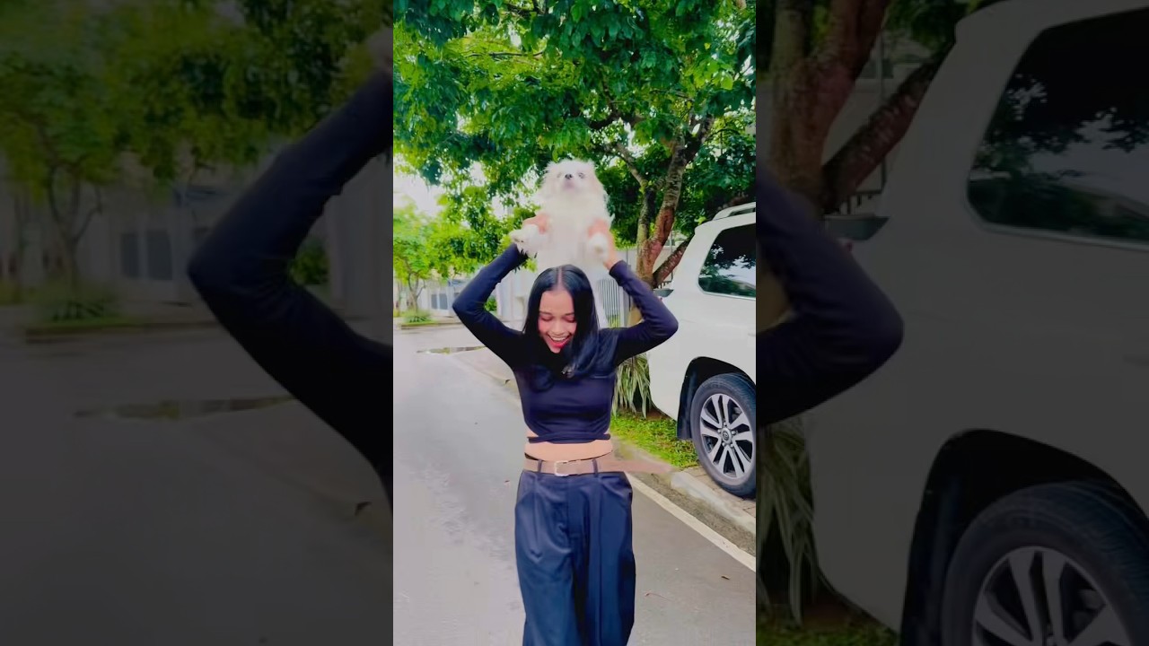 Дыня...!🐶🍉 